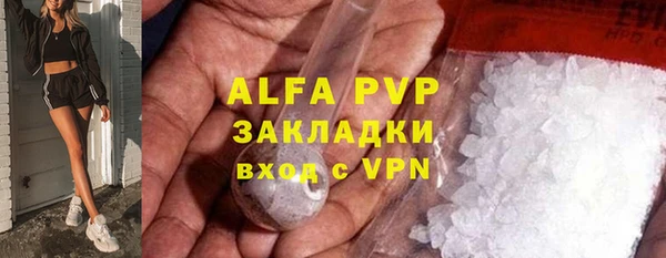 прущие грибы Майский