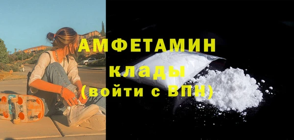 мдпв Магас