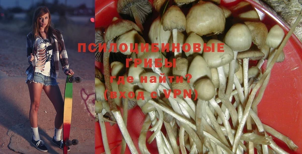 винт Липки