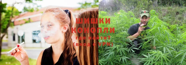 мдпв Лихославль