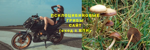 винт Липки
