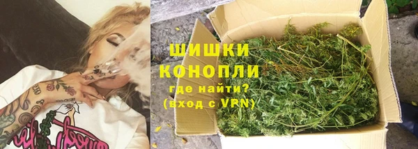 прущие грибы Майский