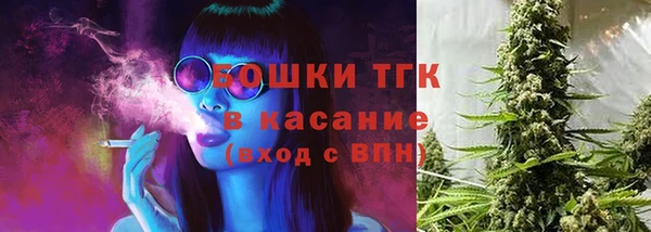 винт Липки
