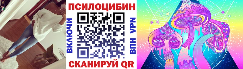 купить наркотик Щёлкино Псилоцибиновые грибы Magic Shrooms